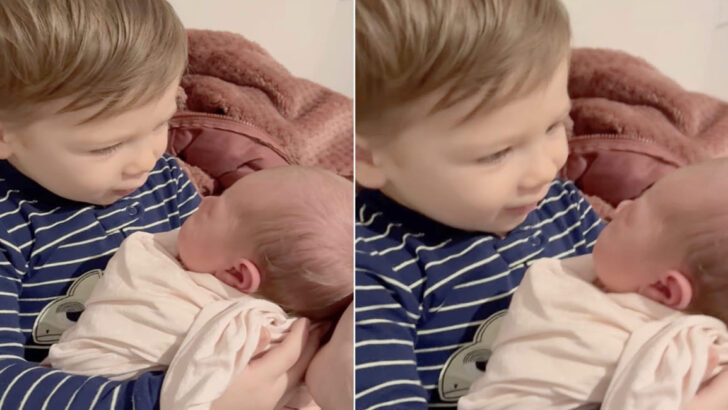 A Touching First Encounter: Little Siblings Meet Each Other for the First Time