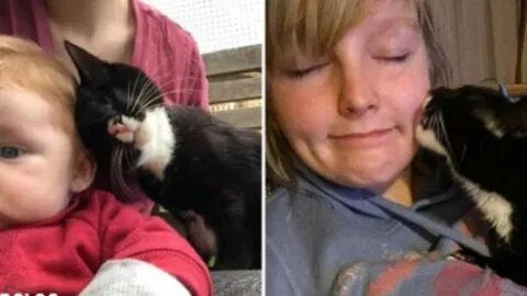 Blind Kitten Found Alone on the Streets Can’t Stop Showering Love and Cuddles After Her Rescue