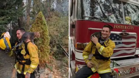 Cat Rescued from Fire Instantly Bonds with His Savior