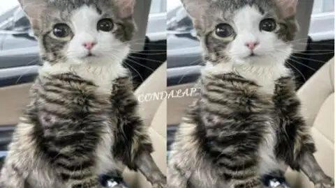 It’s My Birthday Today; I’m Aware I’m Not Perfect, but No One Has Ever Celebrated Me!