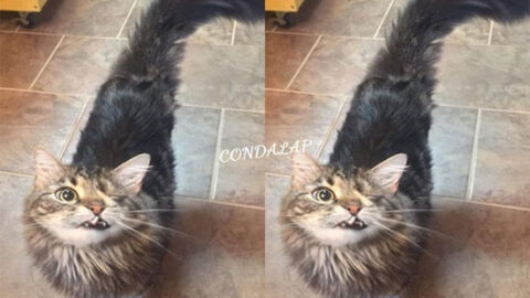 It’s My Birthday Today—Hoping for Some Birthday Love!