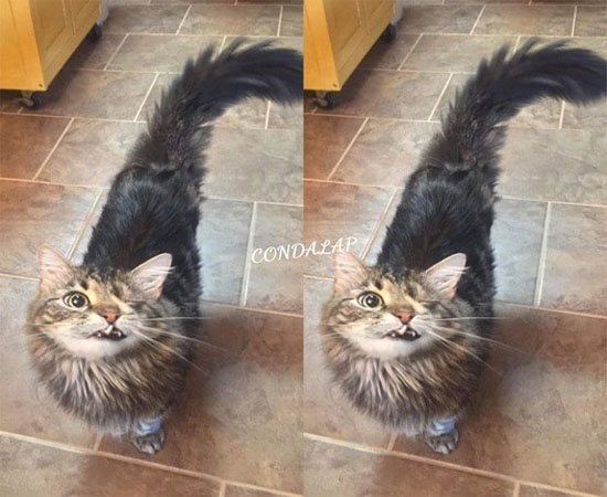 It's My Birthday Today—Hoping for Some Birthday Love!