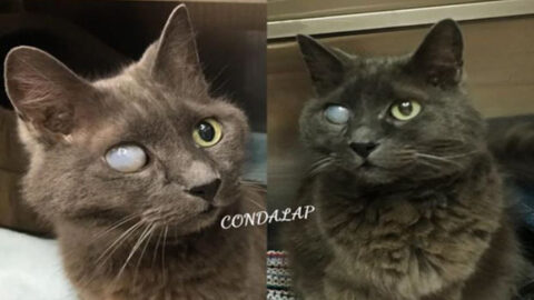 It’s My Birthday Today—Wishing for Blessings to Come Soon and Always