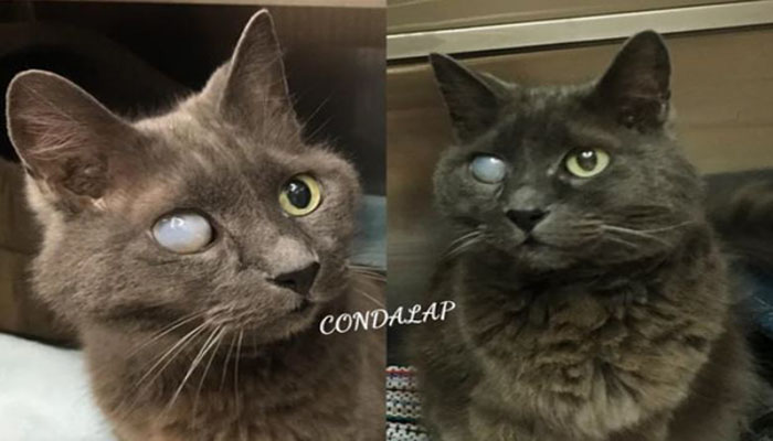 It's My Birthday Today—Wishing for Blessings to Come Soon and Always