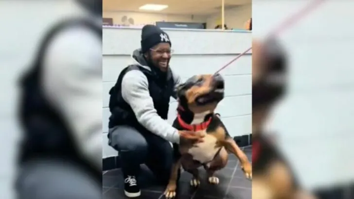 Lost Pup’s Joyful Reunion with Owner After Weeks Apart
