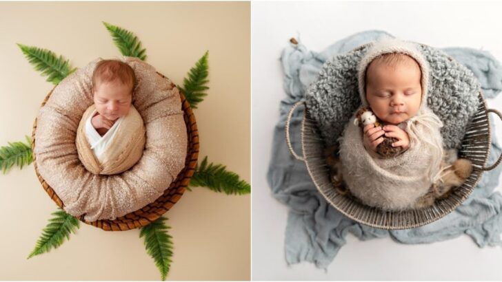 Newborns: Inspiring Photographers to Capture Stunning Images