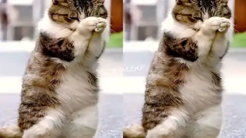 On My Birthday, I Realize I’m Far from Perfect, but I Haven’t Been Blessed Yet