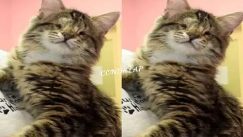 On My Birthday, I’m Still Waiting for Blessings and a Cake