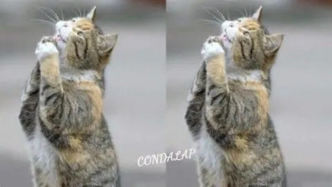 On My Birthday Today, I’m Still Waiting for Wishes