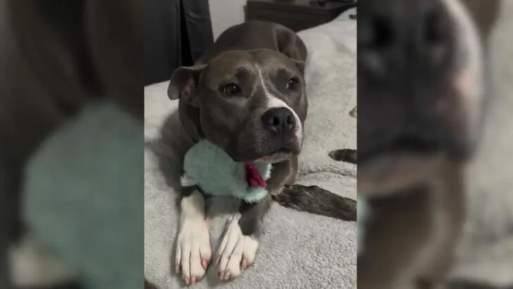 She Found Herself in a State of Confusion, Depression, and Betrayal