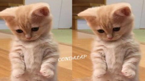 Today is My Birthday, and I Haven’t Received Any Well-Wishes Yet—I’m Feeling Very Sad