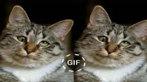 Today is My Birthday, and It Feels Like Everyone Has Forgotten