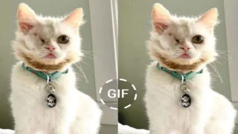 Today is My Birthday, but I Don’t Feel Beautiful and No One Has Sent Me Wishes