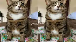 Waiting for Birthday Wishes: No Greetings Have Come My Way Yet Today