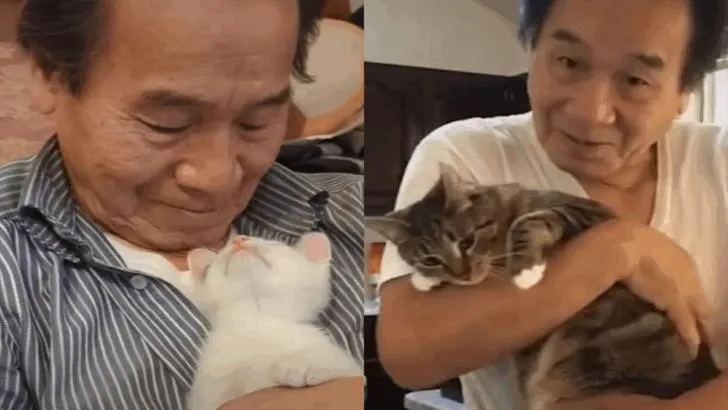 A Man Who Claimed He Wasn’t Fond of Cats Ends Up Fostering 75 Kittens