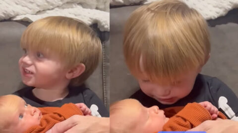 Adorable Toddler Serenades Baby Sister to Sleep with Popular Tune