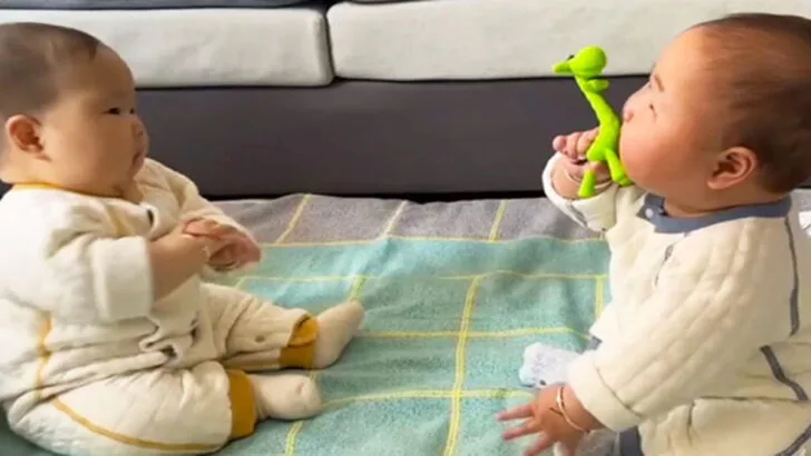 Adorable Twins: One Brother Desires His Twin’s Toys Too!
