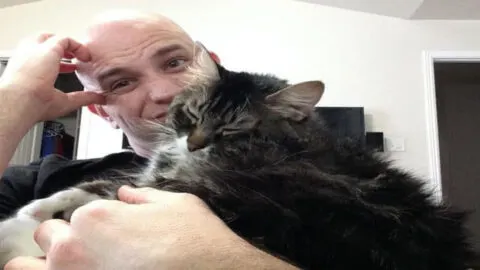 Boyfriend’s Cat Causes Stir When Girlfriend Demands It Be Removed, His Response Leaves Her Astonished