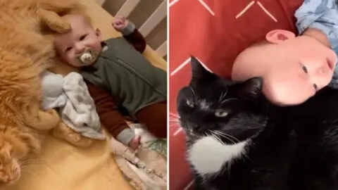 Cat Leaps into Baby Brother’s Crib Every Morning