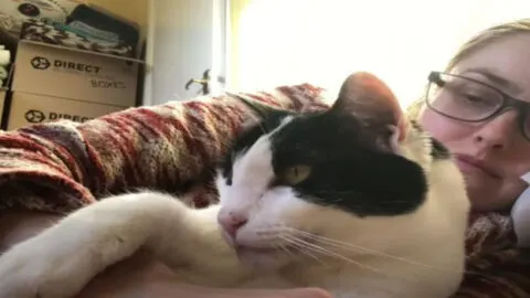 Cat Shows Unconditional Love to the Family That Took Him In