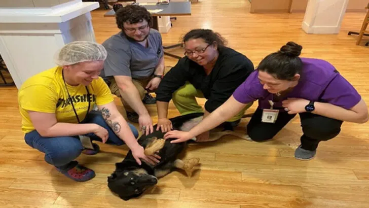 Dog Continually Escapes Shelter to Visit and Comfort Nursing Home Residents