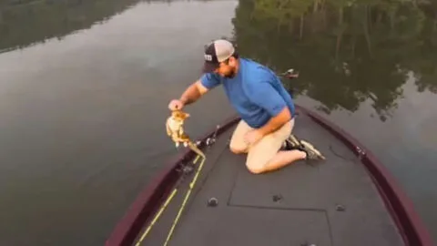 Fisherman Stunned to Reel in Kittens Instead of Fish