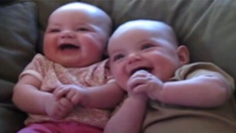 Four-Month-Old Twin Babies Find Fake Sneezes Absolutely Hilarious