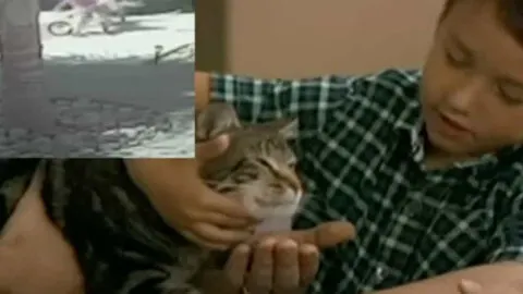 Heroic Cat Rescues Human Sibling from Dog Attack