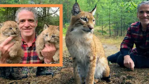 Lynx Rescue Leads to Her First Joyous Experience of Motherhood