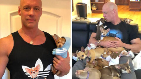 Man Who Once Mocked Small Dogs Is Rescued by a Chihuahua and Now Devotes His Life to Their Rescue