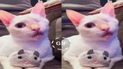 On My Birthday, I’m Feeling Low as No One Has Remembered to Wish Me Well