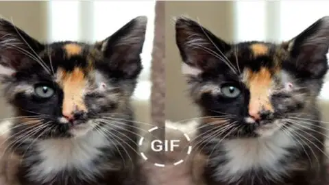 On My Birthday Today, All I Hope For is a Small Sign from Someone Who Still Thinks of Me