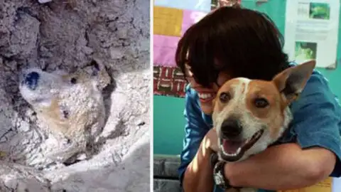 Strangers Buried Her Alive and Faced the Consequences They Deserved