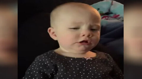 Sweet Baby Wakes from Nap and Exclaims ‘That Was Awkward’