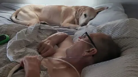 Veteran and His Faithful Dog Die Just Hours Apart