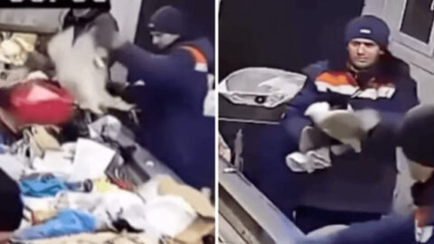 Worker Rescues Cat from Garbage Disposal Machine