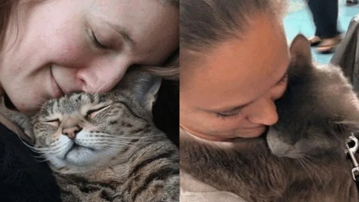 Your Cat Sees You as a Parental Figure