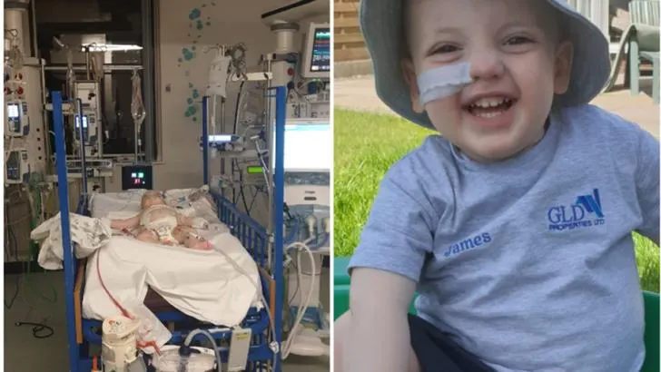 Toddler Thrives After Life-Saving Liver Transplant: “We Are Eternally Grateful” Says Dad