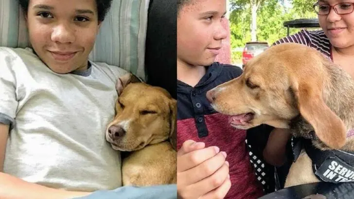 I don’t fit anywhere. He’d given up on being adopted. We were lost too. But in our darkest moment, he became our light.