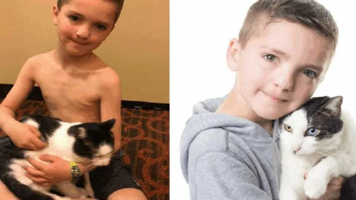 Bullied Boy With Cleft Lip and Heterochromia Finds His Perfect Match in a Rescue Cat With the Same Rare Features—A Story of Healing, and Acceptance
