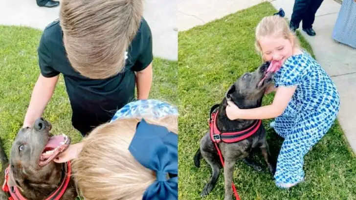 May I pet your puppy?’: Girl grieving outside funeral home finds comfort in woman and her pitbull