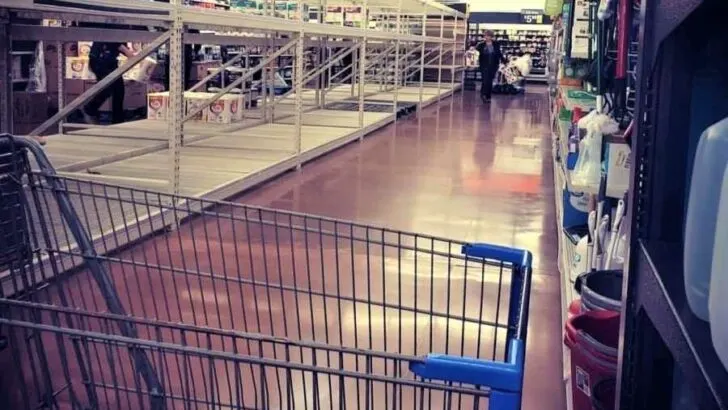 Looks Like You’re Going to Need Another Cart,He Said and Nodded to His Own