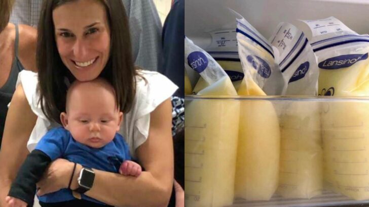 Don’t Worry! I’ve Been Keeping It On Ice All Afternoon!” Flight Attendant Rescues Mom’s Lost Breast Milk After Disney Trip