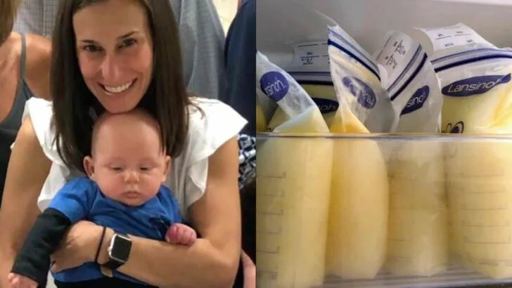 Don&rsquo;t Worry! I&rsquo;ve Been Keeping It On Ice All Afternoon!&rdquo; Flight Attendant Rescues Mom&rsquo;s Lost Breast Milk After Disney Trip
