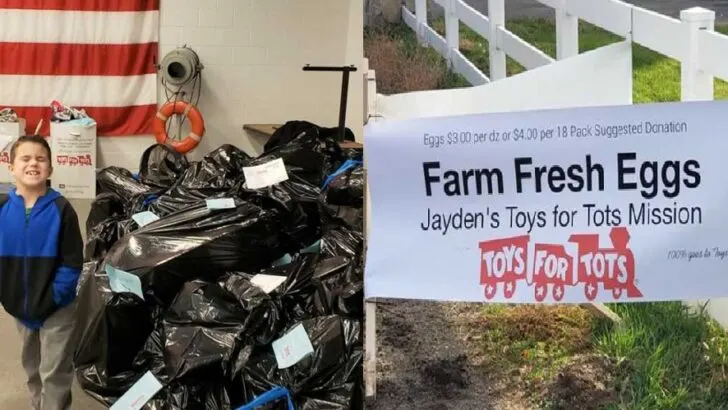 Idaho Boy With Cystic Fibrosis Turns Egg Sales Into $2,400 Gift for Toys for Tots