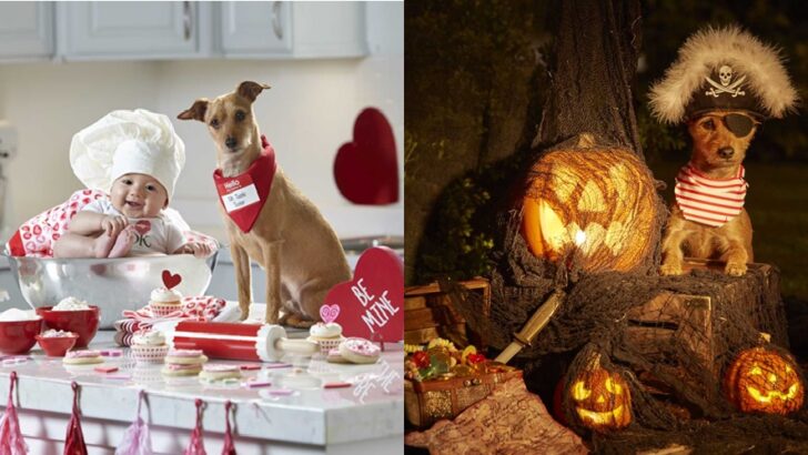 Toddler Emmett and Rescue Dog Mortie Win Hearts with Adorable Holiday-Themed Photo Shoots and Unbreakable Bond