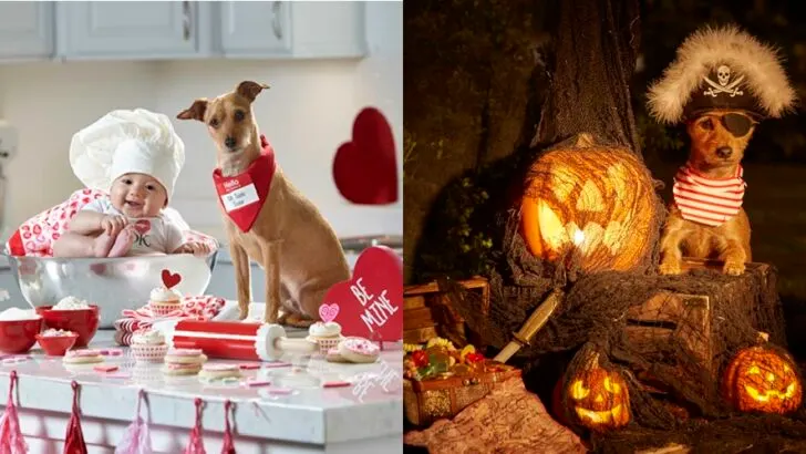 Toddler Emmett and Rescue Dog Mortie Win Hearts with Adorable Holiday-Themed Photo Shoots and Unbreakable Bond