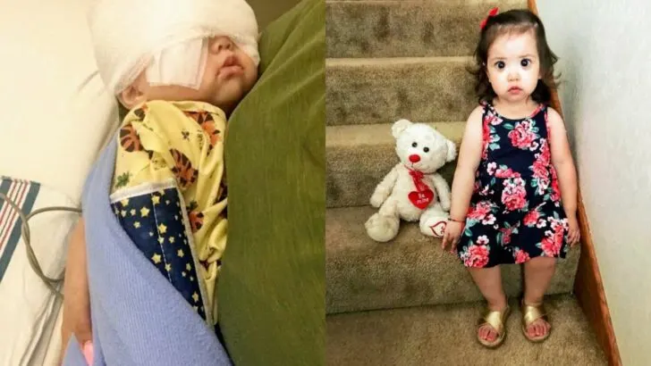 Something Was Seriously Wrong With Our Baby’s Eyes They Were Mostly Pupil After a Healthy, Normal Pregnancy