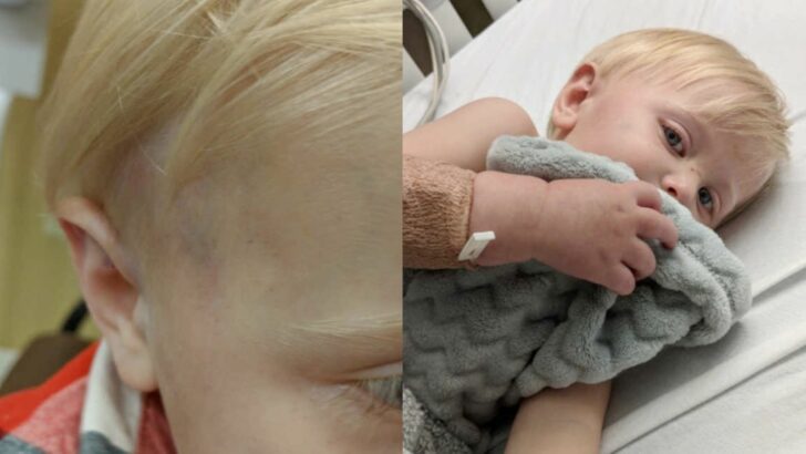 We Thought They Were Friends. A Daycare Teacher’s Husband Hurt My Son, But He Survived With Strength