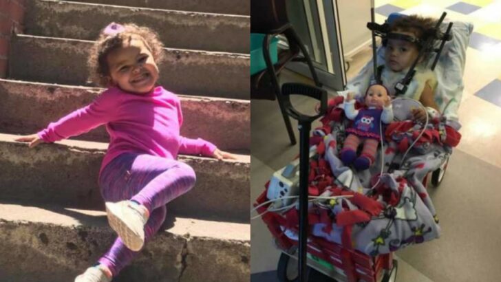 She was internally decapitated, Parent’s urgent warning about forward-facing car seats